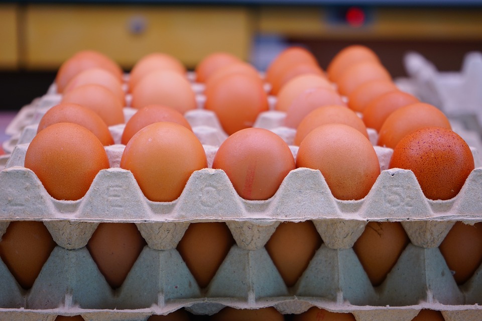 Les ovoproduits : l’ingrédient qui facilite les préparations de pâtisserie